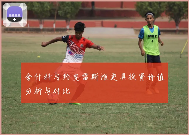 舍什科与约克雷斯谁更具投资价值分析与对比