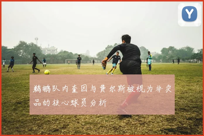 鹈鹕队内奎因与费尔斯被视为非卖品的核心球员分析