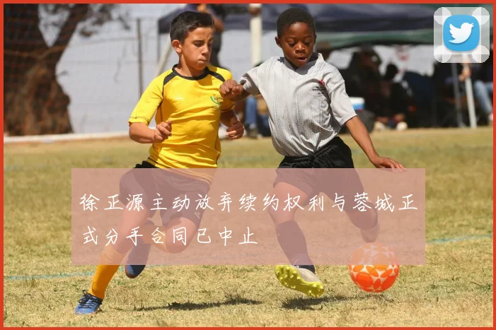 徐正源主动放弃续约权利与蓉城正式分手合同已中止