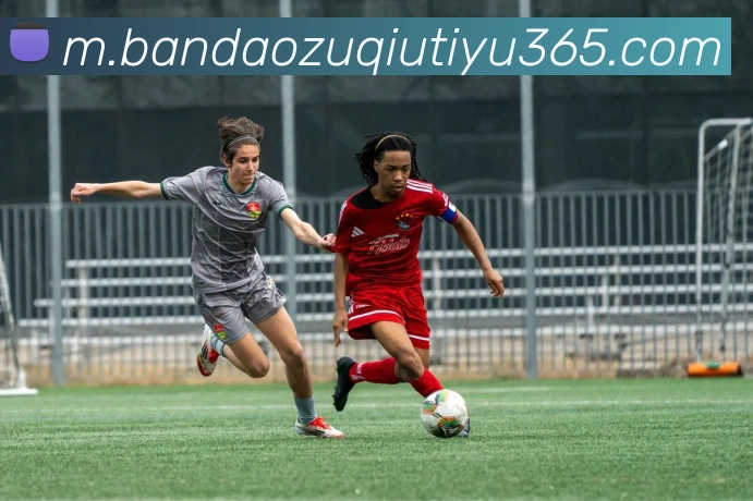 半岛体育发展历程